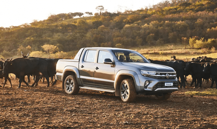 Nova Amarok 2025